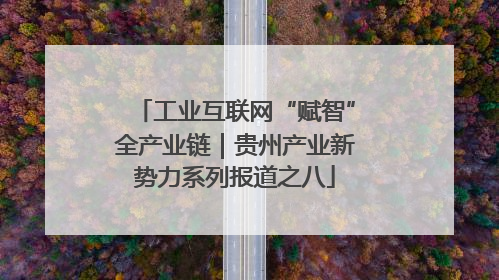 工业互联网“赋智”全产业链｜贵州产业新势力系列报道之八