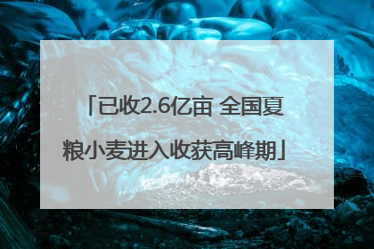 已收2.6亿亩 全国夏粮小麦进入收获高峰期
