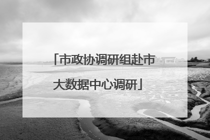 市政协调研组赴市大数据中心调研