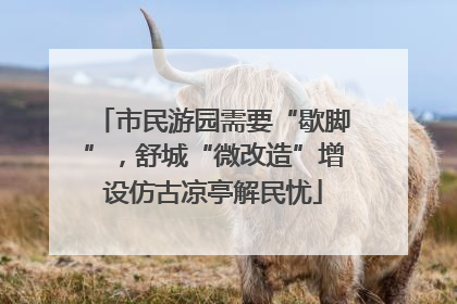 市民游园需要“歇脚”，舒城“微改造”增设仿古凉亭解民忧