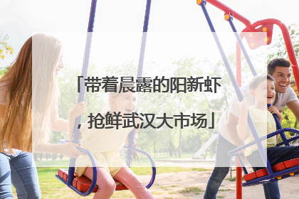 带着晨露的阳新虾，抢鲜武汉大市场