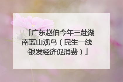 广东赵伯今年三赴湖南蓝山观鸟（民生一线·银发经济促消费）