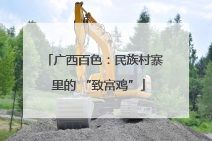广西百色：民族村寨里的 “致富鸡”