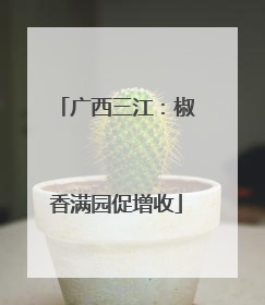 广西三江：椒香满园促增收