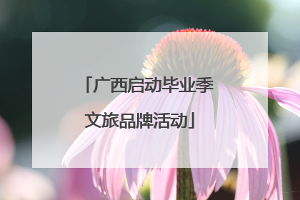 广西启动毕业季文旅品牌活动