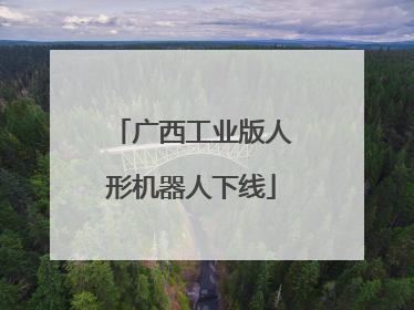 广西工业版人形机器人下线