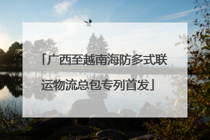 广西至越南海防多式联运物流总包专列首发