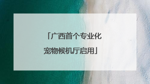广西首个专业化宠物候机厅启用
