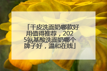 干皮洗面奶哪款好用值得推荐，2025氨基酸洗面奶哪个牌子好，温和在线