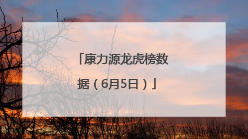 康力源龙虎榜数据（6月5日）