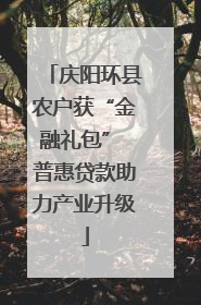 庆阳环县农户获“金融礼包” 普惠贷款助力产业升级
