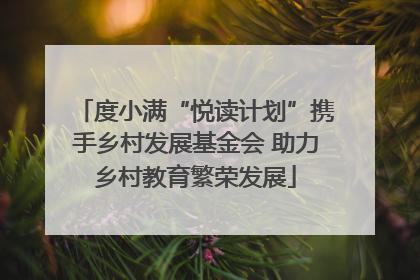 度小满“悦读计划”携手乡村发展基金会 助力乡村教育繁荣发展