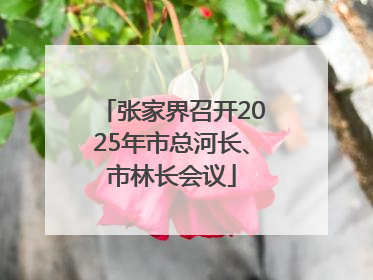 张家界召开2025年市总河长、市林长会议