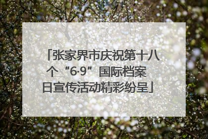 张家界市庆祝第十八个“6·9”国际档案日宣传活动精彩纷呈
