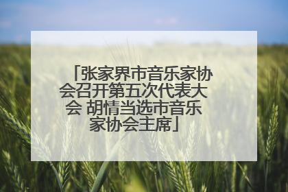 张家界市音乐家协会召开第五次代表大会 胡情当选市音乐家协会主席