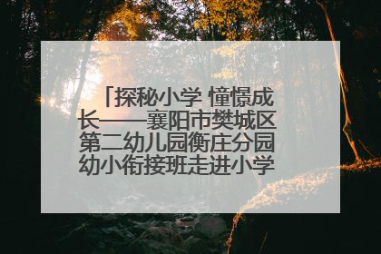 探秘小学 憧憬成长——襄阳市樊城区第二幼儿园衡庄分园幼小衔接班走进小学开展参观体验活动