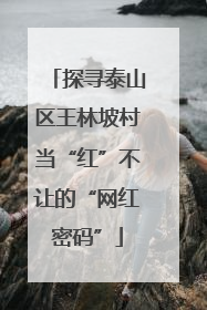探寻泰山区王林坡村当“红”不让的“网红密码”
