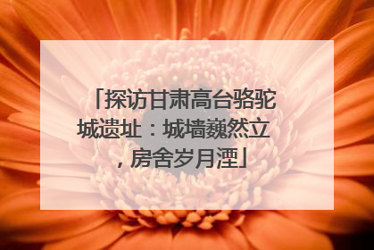 探访甘肃高台骆驼城遗址：城墙巍然立，房舍岁月湮