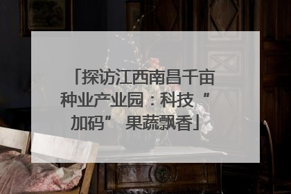 探访江西南昌千亩种业产业园：科技“加码” 果蔬飘香