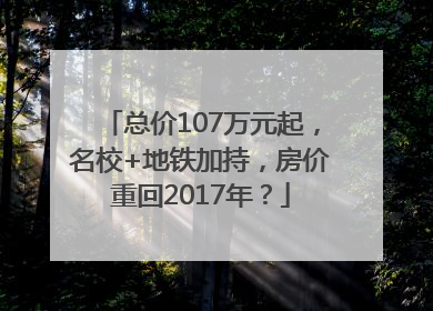 总价107万元起，名校+地铁加持，房价重回2017年？
