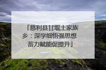 慈利县甘堰土家族乡：深学细悟强思想 蓄力赋能促提升