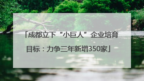 成都立下“小巨人”企业培育目标：力争三年新增350家