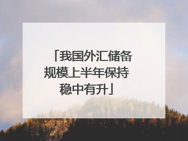 我国外汇储备规模上半年保持稳中有升