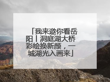 我来邀你看岳阳丨洞庭湖大桥彩绘换新颜，一城湖光入画来