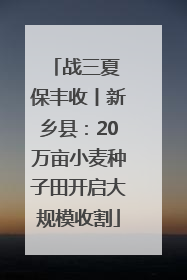 战三夏 保丰收丨新乡县：20万亩小麦种子田开启大规模收割
