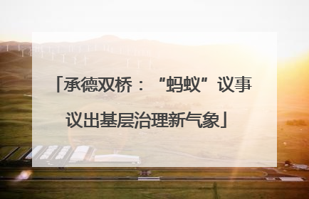 承德双桥：“蚂蚁”议事 议出基层治理新气象