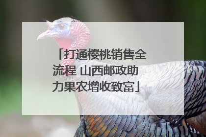 打通樱桃销售全流程 山西邮政助力果农增收致富