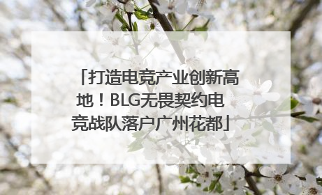打造电竞产业创新高地！BLG无畏契约电竞战队落户广州花都
