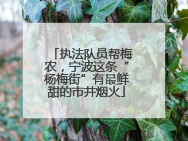 执法队员帮梅农，宁波这条“杨梅街”有最鲜甜的市井烟火