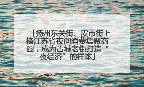 扬州东关街、皮市街上榜江苏省夜间消费集聚商圈，成为古城老街打造“夜经济”的样本