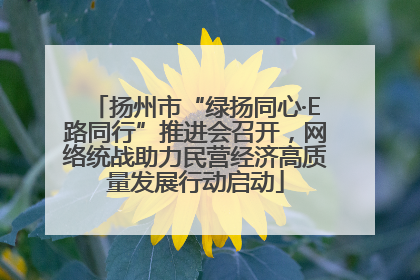 扬州市“绿扬同心·E路同行”推进会召开，网络统战助力民营经济高质量发展行动启动