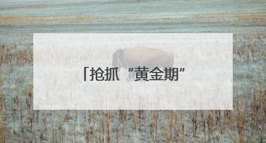 抢抓“黄金期” 德阳智慧之心项目建设加速推进