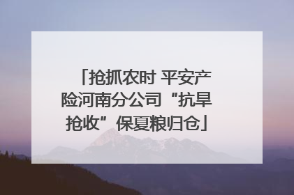 抢抓农时 平安产险河南分公司“抗旱抢收”保夏粮归仓