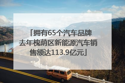 拥有65个汽车品牌 去年槐荫区新能源汽车销售额达113.9亿元