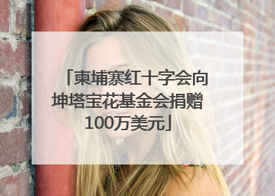 柬埔寨红十字会向坤塔宝花基金会捐赠100万美元