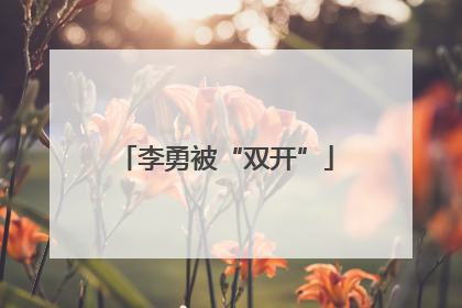 李勇被“双开”