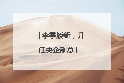 李季履新，升任央企副总