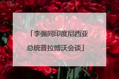 李强同印度尼西亚总统普拉博沃会谈
