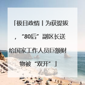 极目政情丨为获提拔，“80后”副区长送给国家工作人员巨额财物被“双开”