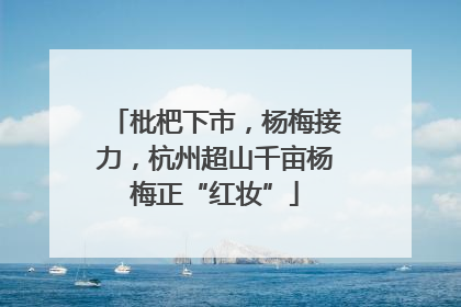 枇杷下市，杨梅接力，杭州超山千亩杨梅正“红妆”