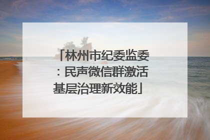 林州市纪委监委：民声微信群激活基层治理新效能