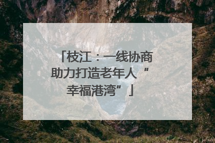 枝江：一线协商助力打造老年人“幸福港湾”