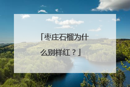 枣庄石榴为什么别样红？