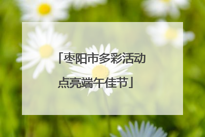 枣阳市多彩活动点亮端午佳节