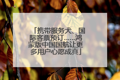 携带服务犬、国际客票预订……鸿蒙版中国国航让更多用户心愿成真