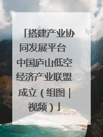 搭建产业协同发展平台 中国庐山低空经济产业联盟成立（组图｜视频）